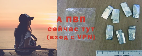 ПСИЛОЦИБИНОВЫЕ ГРИБЫ Богданович
