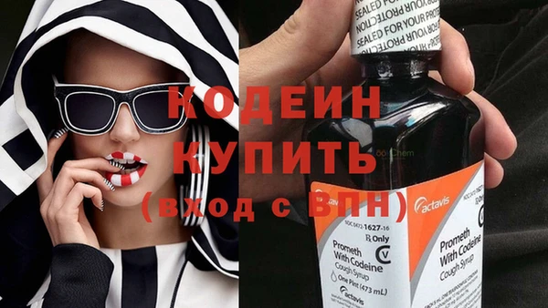 ПСИЛОЦИБИНОВЫЕ ГРИБЫ Богданович