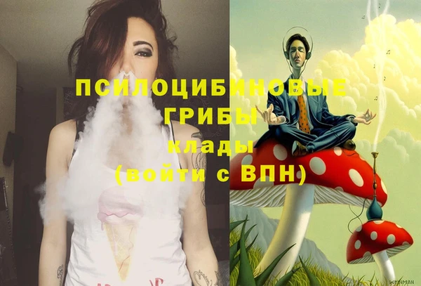 ПСИЛОЦИБИНОВЫЕ ГРИБЫ Богданович