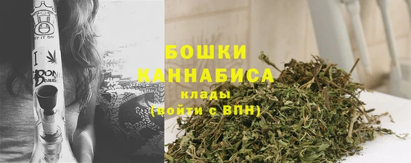 спиды Богородск